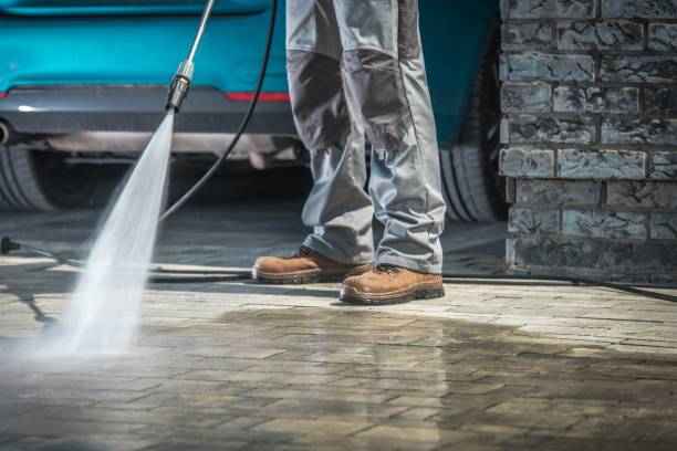 Best Soft Washing for Delicate Surfaces in Guthrie Center, IA