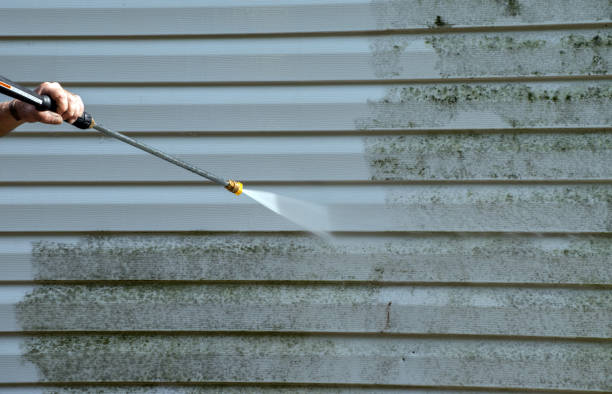 Best Vinyl Siding Pressure Washing in Guthrie Center, IA